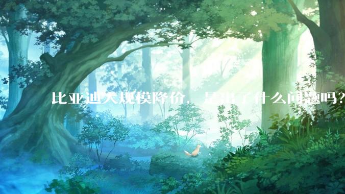 比亚迪大规模降价，是出了什么问题吗？