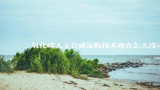 二氧化碳人工合成淀粉技术现在怎么没动静了？